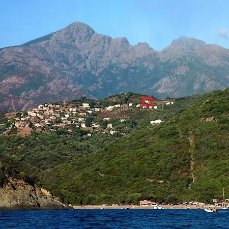 Romarin * Partinello