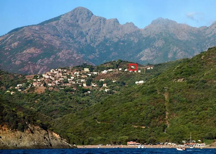 Romarin * Partinello